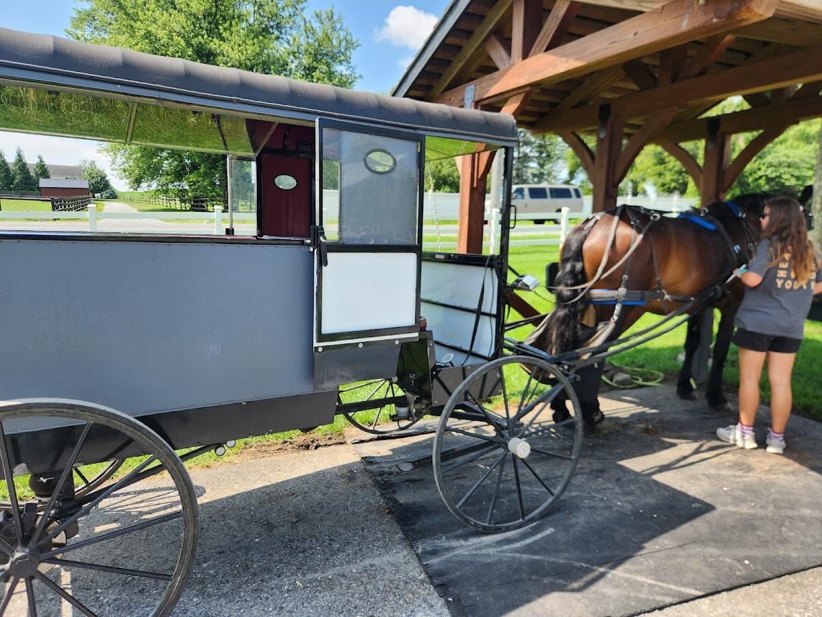 Aaron & Jessica's Buggy Rides - ranked #3 Tour in Lancaster County, Pennsylvania