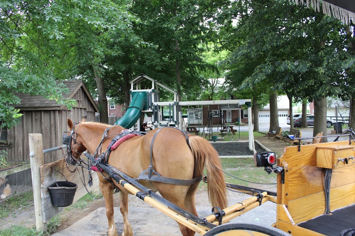 Abe's Buggy Rides - ranked #4 Tour in Lancaster County, Pennsylvania