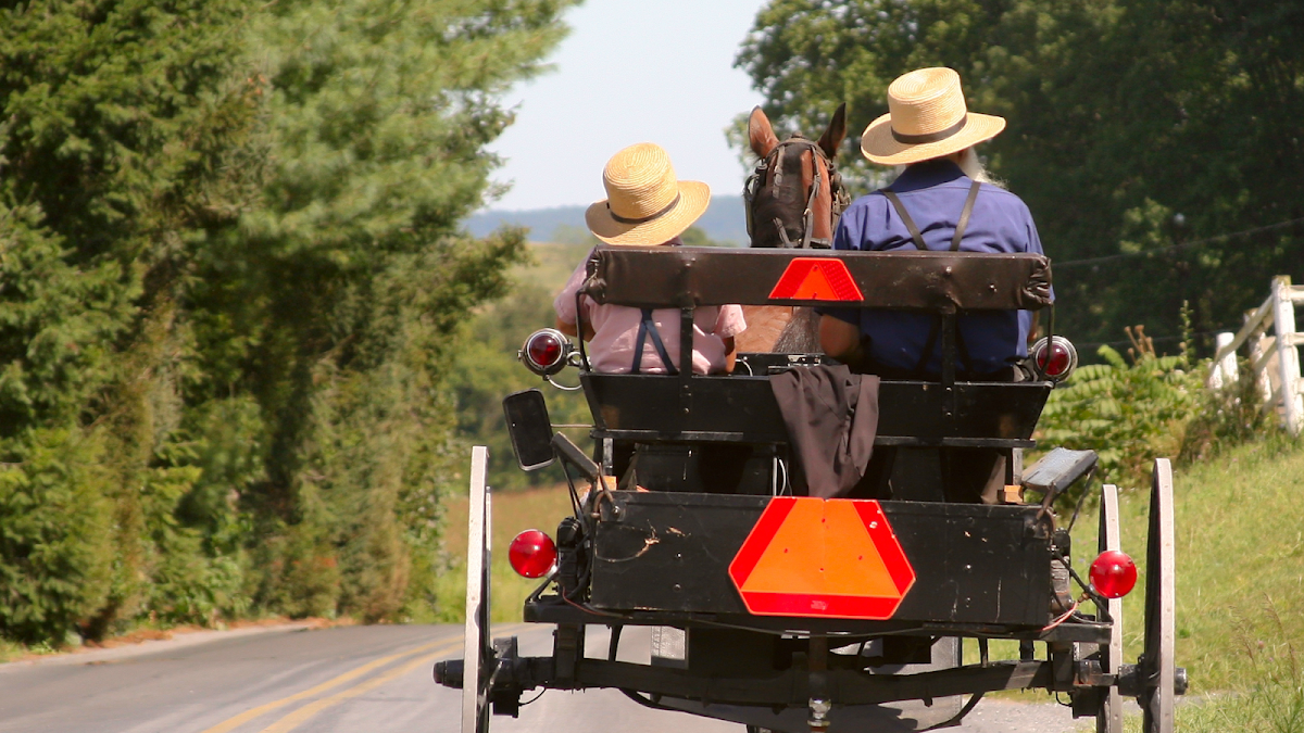 The Amish Farm and House - tour in Lancaster, Pennsylvania